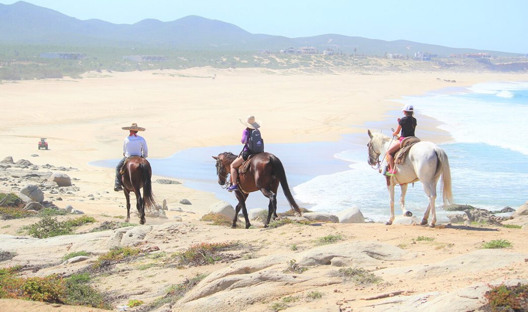 3horseback-riding-atv-cabo-tours-xtreme-fun